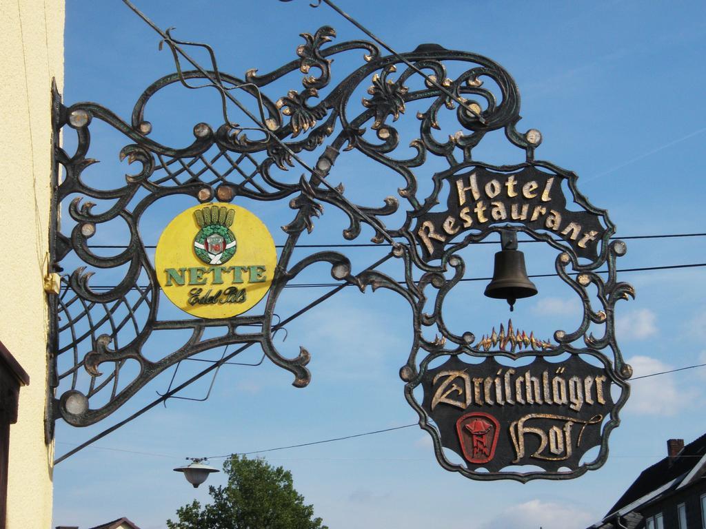 Hotel Dreischlaeger Hof Neustadt  Exteriér fotografie